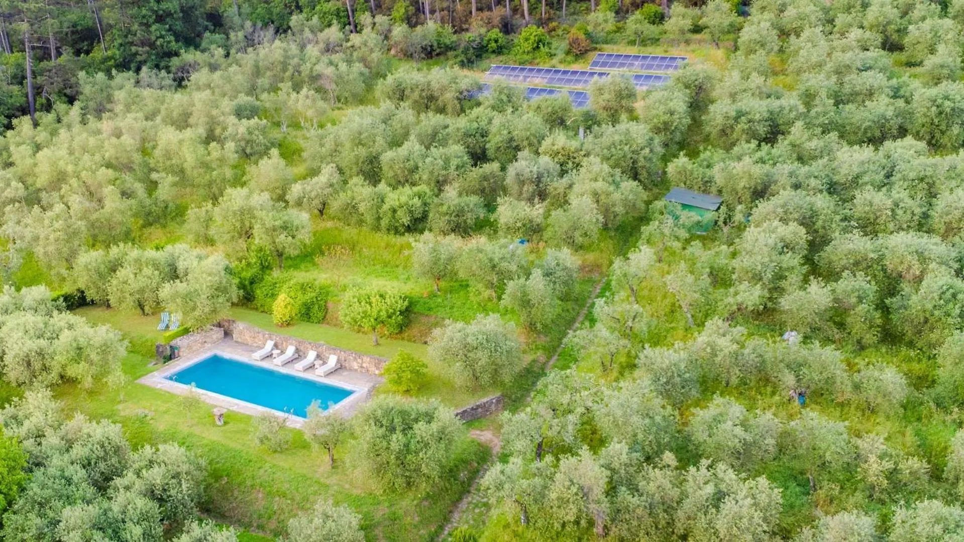 Citrus Charm Farmhouse, A Country Villa With Pool Capannori
